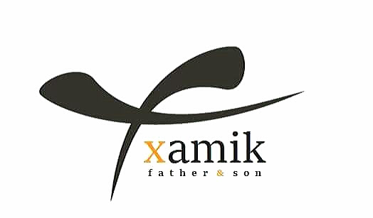 XAMIK Artist & Musik logotyp