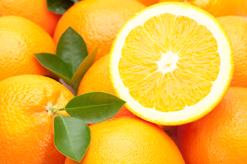 Prima Vitalus  logotyp