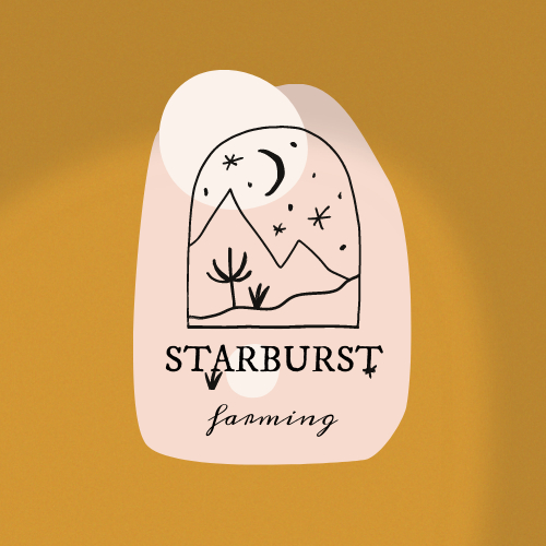 Starburst Aktiebolag  logotyp